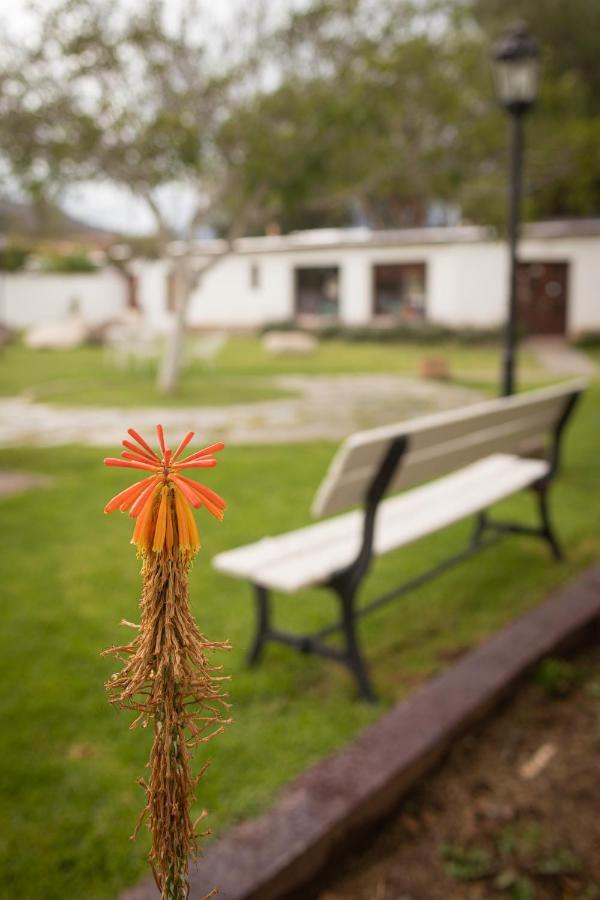 Tampu Hotel Cachí Екстериор снимка